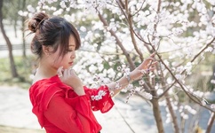 1区2区3区4区产品不卡码